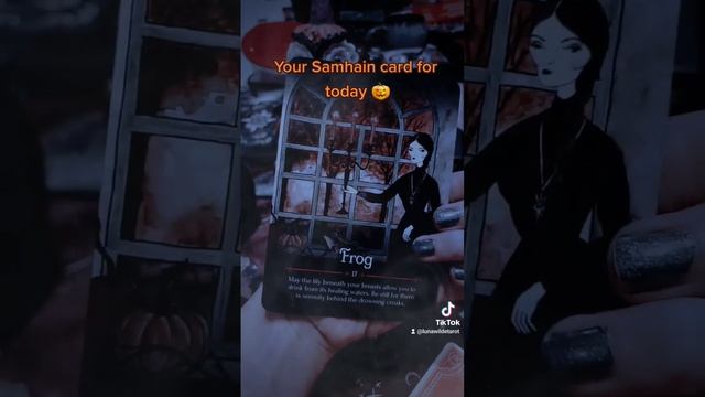 Your Samhain Oracle card for today ?  #tarot #oraclecards #samhain #halloween #witch #tarotreading