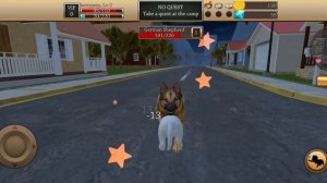 CAT GAMES LIZARD: Cat Simulator Animal Life | Cat Noises Only Cats Can Hear