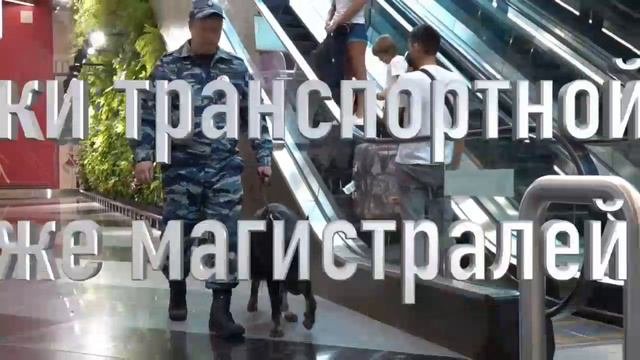 Транспортная полиция