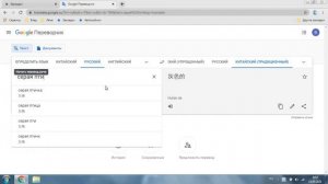 Прикол в гугл переводчике (серая птица на китайском)
