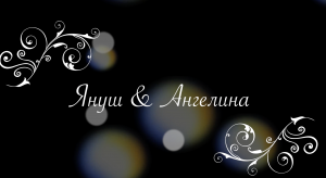 Януш и Ангелина 1-я часть ЦЫГАНСКАЯ СВАДЬБА ! Ресторан " Несветай" 4К видео