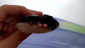 Моё 56 видео. Реакция