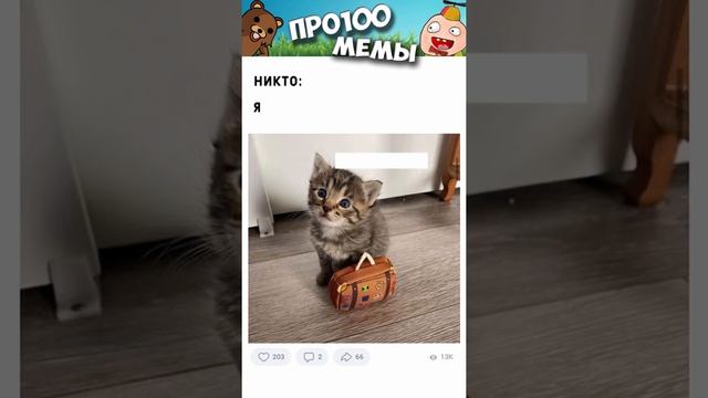 Мемы и котики с озвучкой #мемыскотами #мемыдня #мемы #котики #мемытут