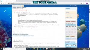 Tez Tour часть 1 продолжение