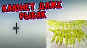 Как сделать силиконовую приманку на которую клюнет не только рыба, но и рыбак