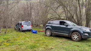 Мои друзья-Дебилы