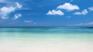 DJ Tapolsky - Bass Resolution