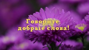 Говорите добрые слова!