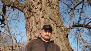 22 июня 2023 г.