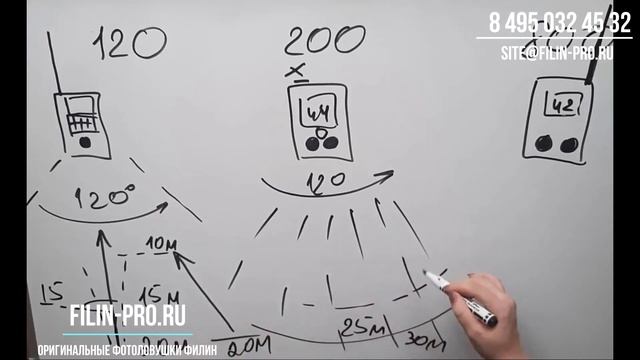 Как выбрать фотоловушку.  Отличия линеек фотоловушек Филин