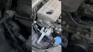 Застучал мотор Kia ceed (CD) 2019 видео с улицы