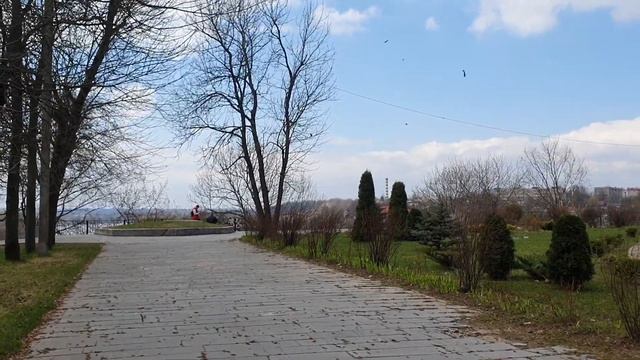 Вербное воскресенье. Приметы и поверья. Что нельзя делать в этот день.