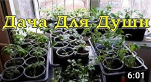 ПРИМЕТЫ для увеличения урожая??? ? ??
