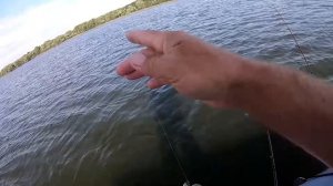 Спортсмены ПРО эту Приманку МОЛЧАТ !!!  Просто БРАКОНЬЕРСКАЯ СНАСТЬ на окуня и щуку!!!