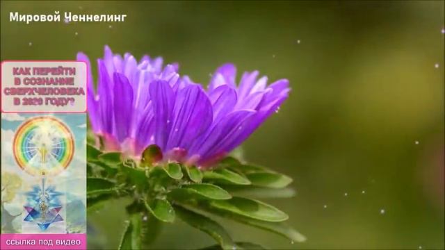 🔹СВЕТ ЭНЕРГИИ ВОЗНЕСЕНИЯ-ченнелинг