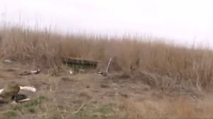 Рыбалка в марте на Куме 2016год