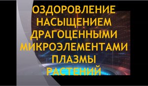 Оздоровление по методу Русака Леонида Васильевича