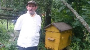 Исторя рамочного пчеловодства. Ульи Левицкого, Прокоповича