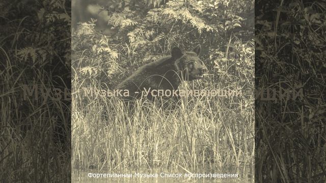 Мечты (За работой) смотреть онлайн