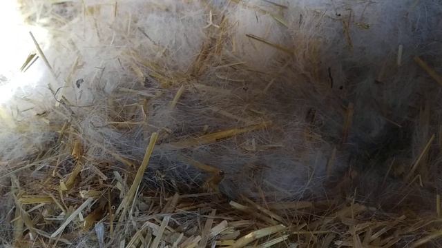 Наше хозяйство -1часть. смотреть онлайн