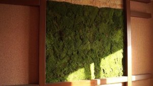 Вертикальное озеленение стен стабилизированным мхом от GREEN TREE