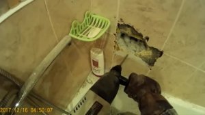 Спасение котёнка, замурованного в стену в ванной комнате