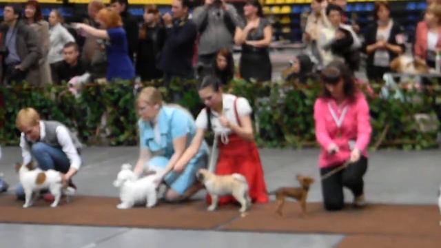 бэст бэбиков смотреть онлайн