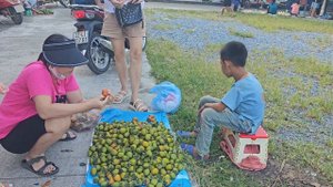 Orphan Boy Harvest Peach, Go To The Market To Sell - Wandering Boy - Survive Alone, Primitive Life