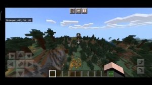 ТОП 5 СИДОВ НА ДЕРЕВНЮ И АВАНПОСТ РАЗБОЙНИКОВ В МАЙНКРАФТ ПЕ 1.16 (MINECRAFT PE 1.16.221)