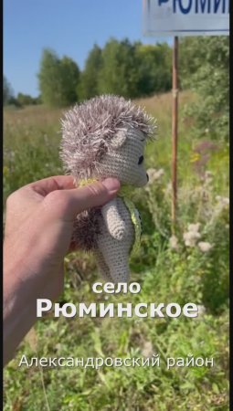 Село Рюминское. Александровский район.