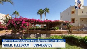SHARM REEF 3* (Египет, Шарм-эль-Шейх)