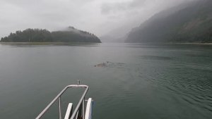 MV Havaseas/Nordhavn 55 - July 21, 2021  Glacier Bay