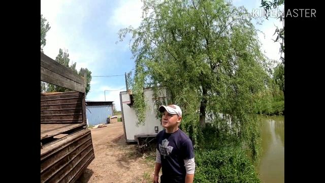 Зарыбление водоема