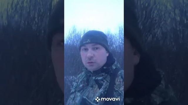 Охота на вальдшнепа на тяге весной 2022, Подмосковье. смотреть онлайн