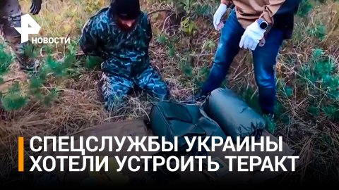 ФСБ предотвратила теракт украинских спецслужб на газопроводе / РЕН Новости