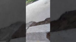 как это сделано.