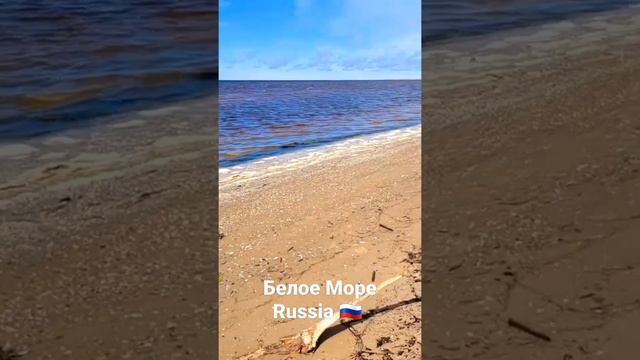 Белое Море Russia 🇷🇺 #белоеморе #Северодвинск #отдых #июнь #лето