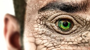 Вы Человек Только на 43% и Вот Почему