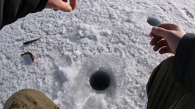 ЗИМНЯЯ РЫБАЛКА / КАК ЛОВИТЬ НАВАГУ / ВЛАДИВОСТОК GO PRO 7 WHITE смотреть онлайн