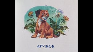 "Дружок" - Н. Носов. Читает Ахметов Александр (старший).