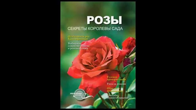 Книга розы. Книга тайна розы