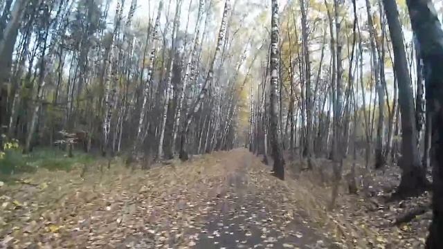 Из района Ярославский в Метрогородок