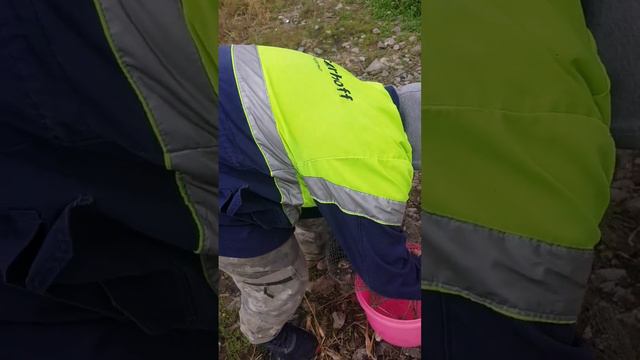 Рыбалка на реке Пышма 2023 смотреть онлайн