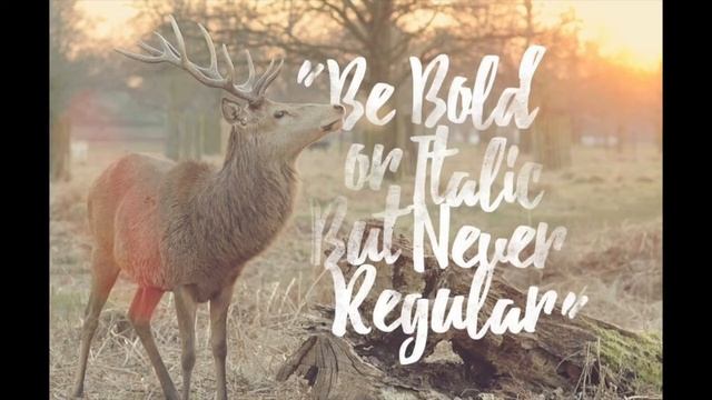 Пак Русских Шрифтов 2022 смотреть онлайн