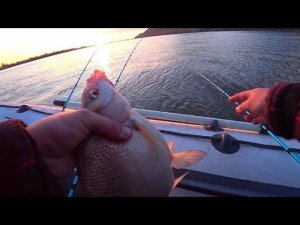 ЧУТЬ НЕ ОСТАЛСЯ С НОЧËВКОЙ! РЫБАЛКА НА ЗАКИДУШКИ ПЕРЕД ЛЕДОСТАВОМ