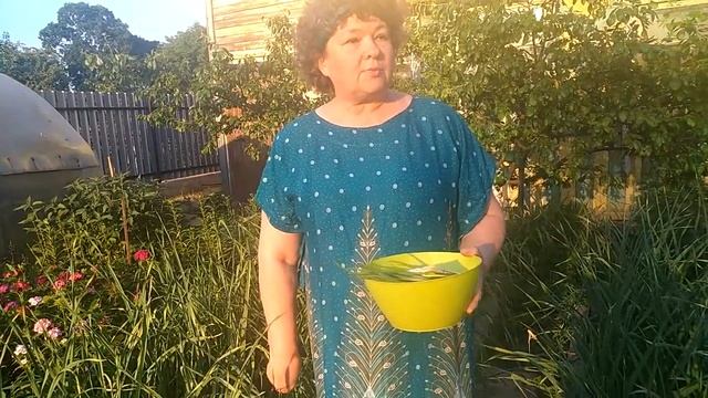 Про чеснок.20.06.21. смотреть онлайн