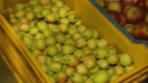 Моя Греческая кухня 1-2