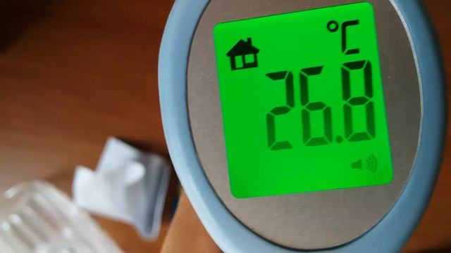 Обзор Инфракрасного термометра HY 216  Сравнение с ртутным