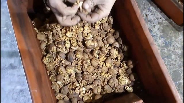 Лучший грецкий орех в Украине это Кочерженко от Walnuts Broker #ГрецкийОрехКочерженко