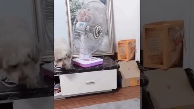 Сам ебе помогу.